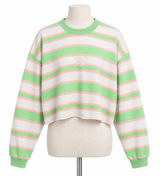 BDG Urban Outfitters Green & White Stripe Cropped Sweatshirt