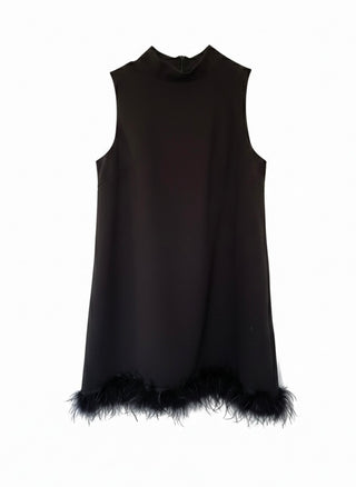 Black sleeveless dress with feather trim on a white background